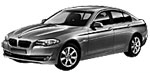 BMW F10 P04D1 Fault Code